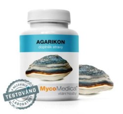 agarikon-detail-s-razitkem-new-web-3.761696527