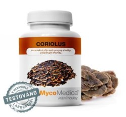 coriolus-vitalni-3.761696527