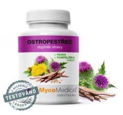 ostropestrec-vitalni-2.761696527