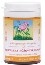 prochazka-ruzovym-sadem